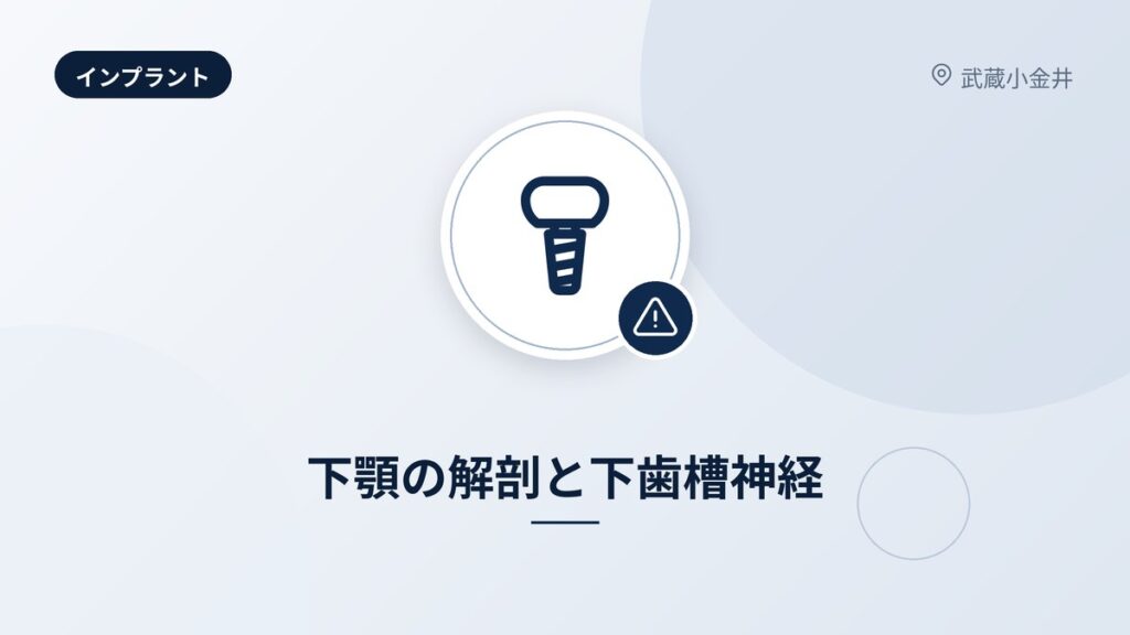 下顎の解剖と下歯槽神経