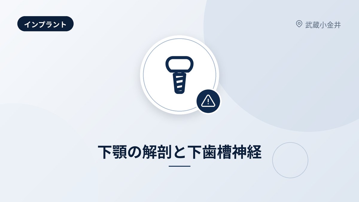 下顎の解剖と下歯槽神経